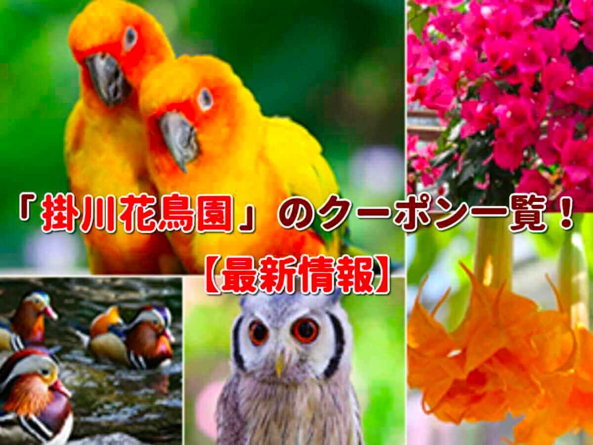 掛川花鳥園のクーポン一覧 22年9月最新版 無料クーポン Com